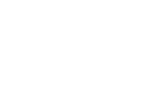 NOVO-Logo_Valec-Renault_BRANCO